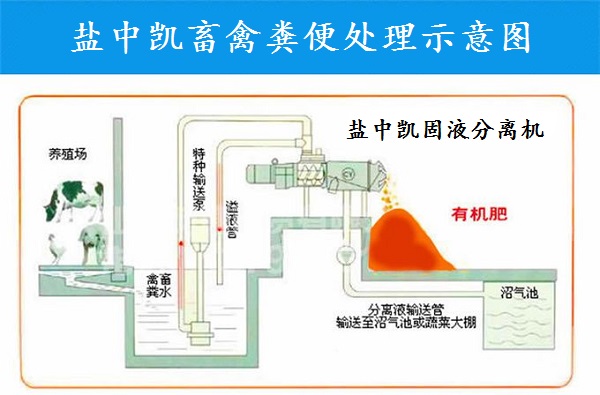 雞糞固液分離設備